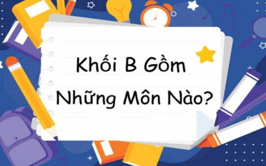 Khối B truyền thống gồm Toán, Hóa học và Sinh học, đồng thời có thêm nhiều tổ hợp mở rộng trong xét tuyển đại học. 