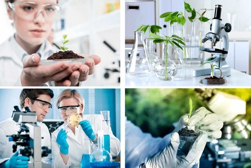 Các ngành môi trường và tài nguyên phù hợp với học sinh quan tâm đến phát triển bền vững và quản lý tài nguyên thiên nhiên. 