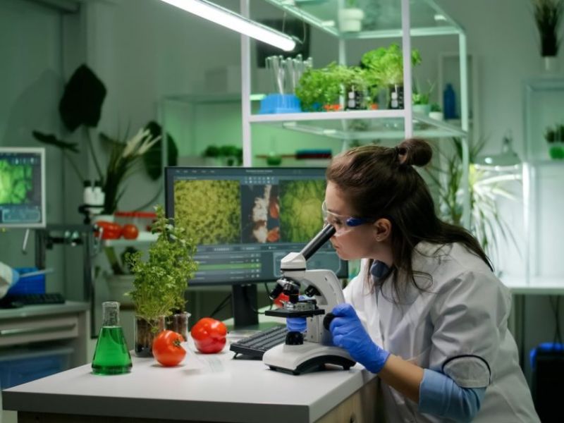 Khối B phù hợp với học sinh yêu thích Sinh học, có tư duy phân tích và quan tâm đến sức khỏe, môi trường hoặc nghiên cứu. 
