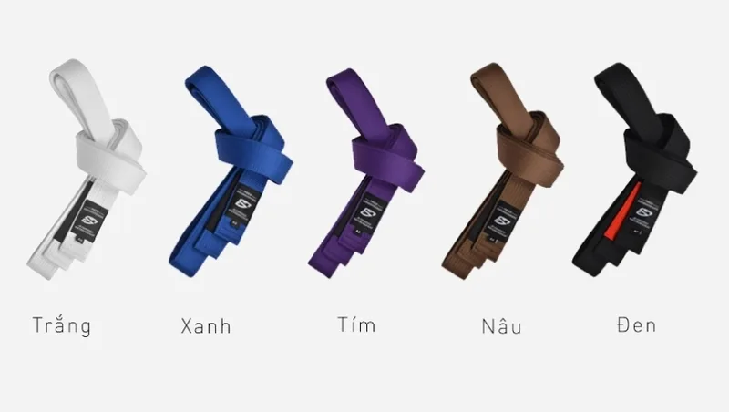 Hệ thống đai Jiu Jitsu phản ánh quá trình luyện tập, kỹ năng và thái độ của người học.